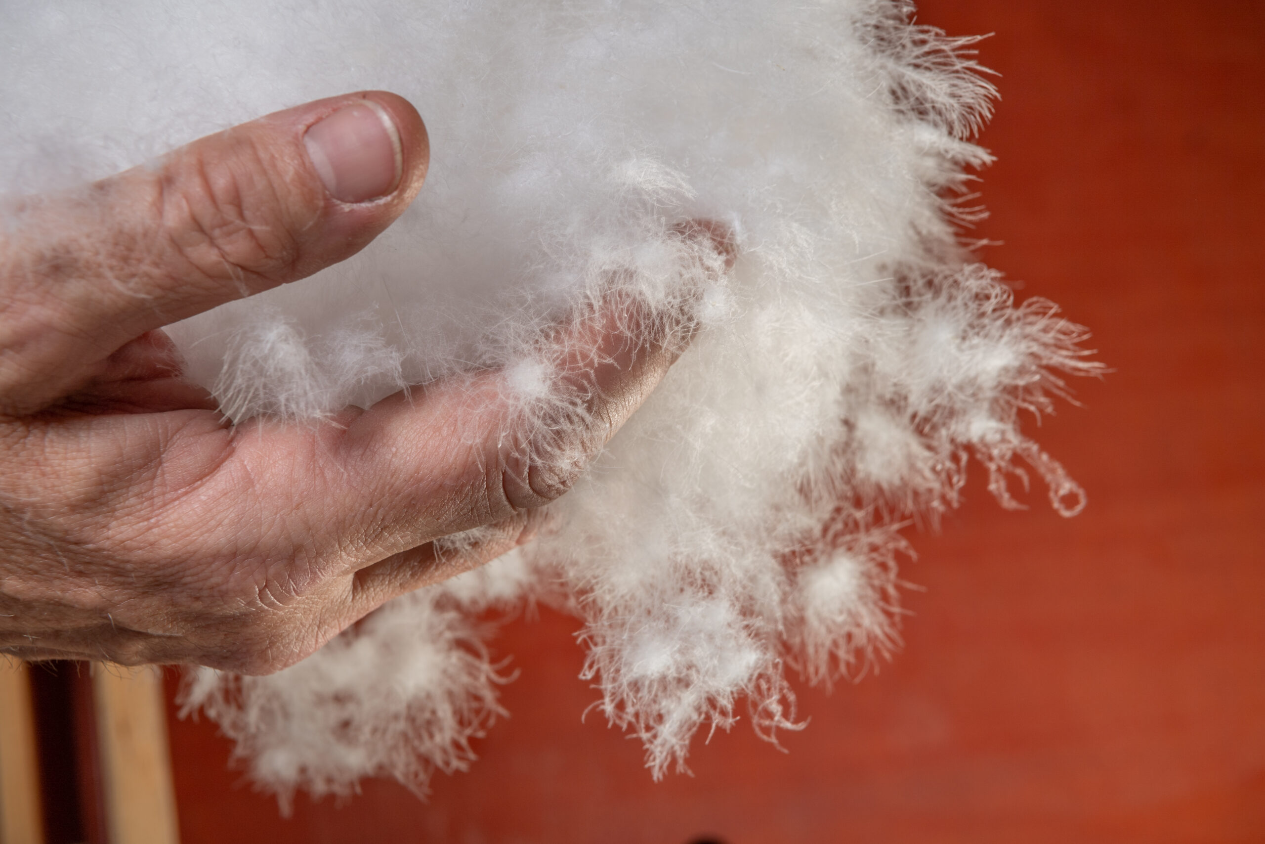 Bien choisir et entretenir son duvet La Maison du Dormir